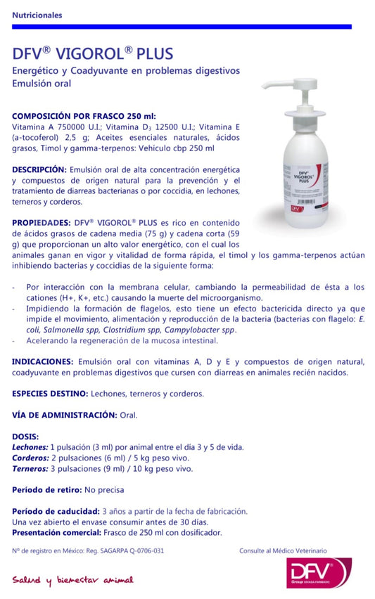 DFV VIGOROL PLUS Energético y Coadyuvante en problemas digestivos